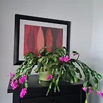 Apartment Ruhige Mit Balkon Und Terrasse Nahe Kassel Helsa