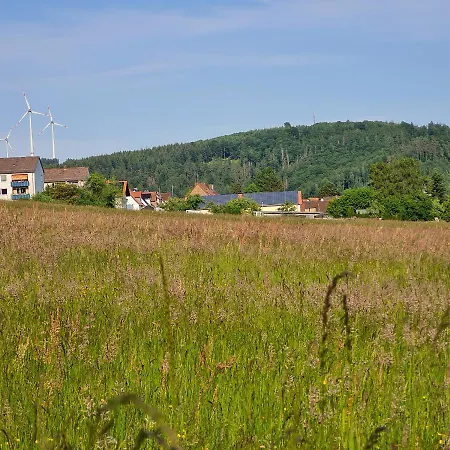 Schoenes Mit Balkon Und Terrasse In Ruhiger Lage Apartamento Helsa