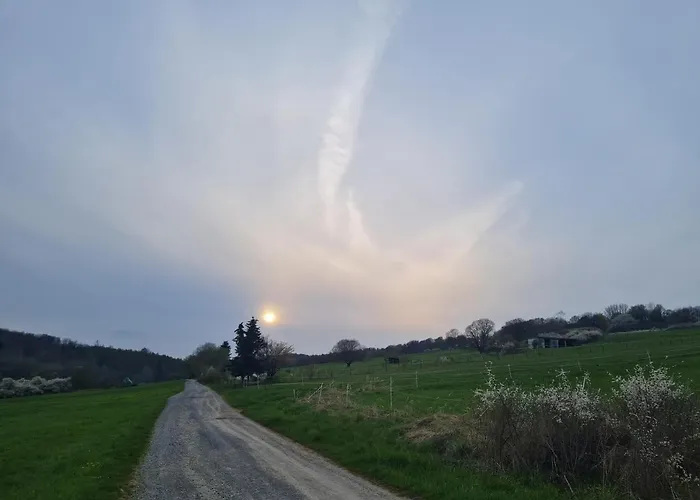Schoene Mit Balkon Und Terrasse In Ruhiger Lage Appartamento *