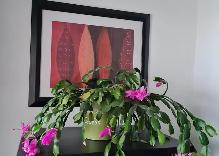 Διαμέρισμα Schoene Mit Balkon Und Terrasse In Ruhiger Lage Helsa